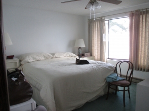 master suite 1